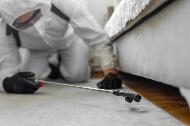 Professional Ant Control technician working in Roscommon County County, MI
